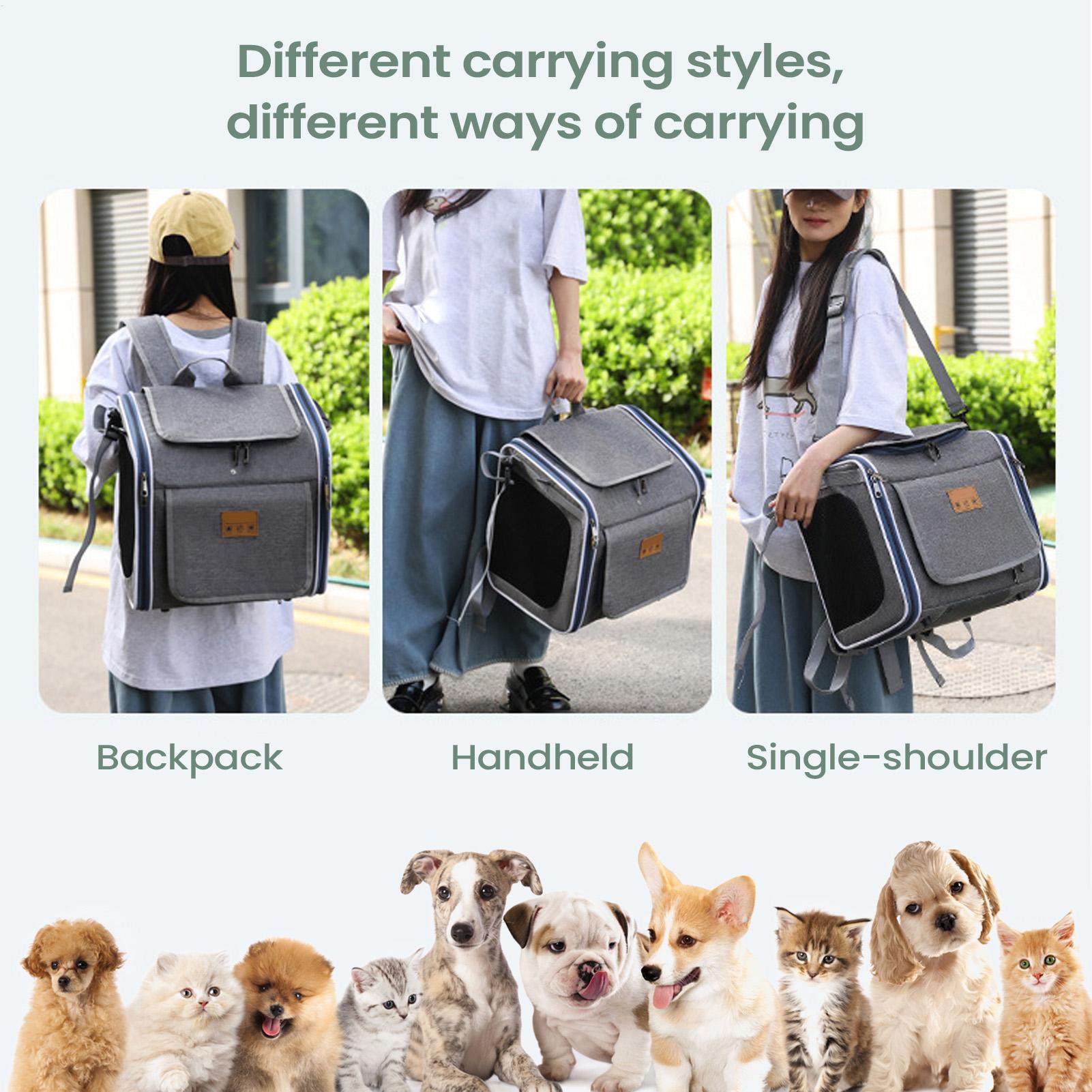 Urban Outdoor Camping - Cesta para perros para bicicleta, transportador
