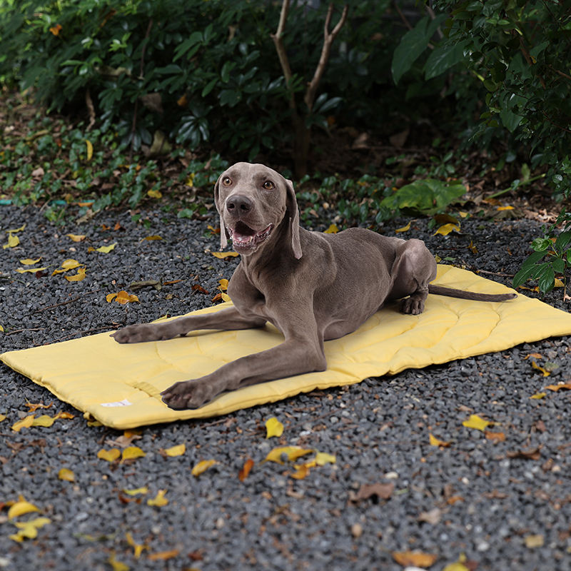 Alfombrilla portátil plegable  - Outdoor Camping Mat Waterproof reseña y precio